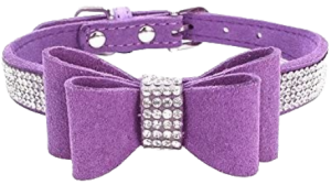 a pretty purple kitty collar